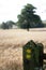 An old wooden right of way footpath direction signpost