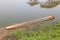 Old wooden rowboat sinking in natural lake.