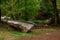 Old wooden rowing boat lies on ground shore and green grass and trees around