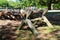 Old wooden sawhorse