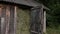 Old wooden shed filled with hay. Stands in a meadow among the forest