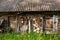 Old wooden shed with firewood