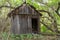 Old wooden shed in the forest. Wooden toilet in the forest