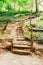 Old wooden stairs in overgrown forest garden, tourist footpath. Steps from cut beech trunks, fresh green branches above footpath