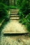 Old wooden stairs in overgrown forest garden, tourist footpath. Steps from cut beech trunks, fresh green branches above footpath