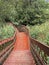 Old wooden stairway in forest, nature trail in reserve.