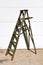 Old wooden stepladder