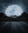 Old wooden table over tree, moon, bird and spooky cloudy sky, Ho