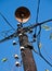 Old wooden telegraph pole