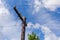 Old wooden telegraph pole with spar, insulators and open wires