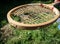 Old wooden tennis racket