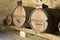 Old wooden vine barrels in an old italian cellar with stone floor and walls