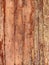 Old wooden vintage loft wall structure of wood as background