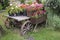 Old wooden vintage trolley with flower pots and boxes with colorful Petunia flowers and geraniums in the garden on a Sunny summer