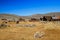 Old wooden wheel lying lonely in the dry grass near the abandoned gold mining town Bodie in California. USA