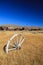 Old wooden wheel lying lonely in the dry grass near the abandoned gold mining town Bodie in California. USA