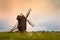 Old wooden windmill