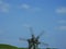 Old wooden windmills. Windmill with fresh green grass and clear blue sky on a summer day. Ethnic museum Pirogovo, Kyiv, Ukraine