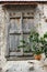 Old wooden window with green plants, abandoned place, old house
