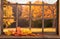 Old wooden window and view to autmn backyard with yellow falling leaves
