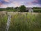 Old woodshed in a midwest farm field with purple wildflowers in springtime