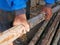 Old worker`s hands grasping and carrying woods logs at a wooden log store