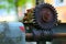 Old worm gear