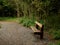 Old worn bench in a park, walking path, green trees. Nobody. Place for rest and meditation