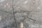 Old worn and cracked asphalt with cracks. Road surface texture background. cracks in the asphalt in the city