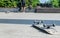 An old worn out skateboard lies on the stone surface of the city cultural monument