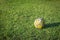 An old worn out soccer ball on a field