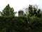 Old worn silo on farm with green trees and plants