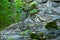 Old and worn stonework with moss surrounded by forest