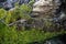 An old worn twisted trunk covered by green moss, Roccaraso, Abruzzo, Italy