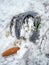 Old wornout rusted horseshoe lying on snow