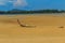 Old wreck fishing boat buried in the sand with blue sky on cloud