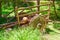 An old wrecked cart with huge wooden wheels. Turkey.