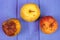 Old wrinkled apples with mold on purple boards