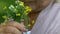 Old wrinkled woman sitting and sniffing garden flowers, memories, close up