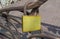 Old yellow glittering padlock with rust hanging on metal fence