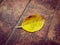 Old yellow leaves, fall to the ground, which is red-brown brick. The floor has black marks and dirt and dirt