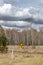 Old yellow radiation sign against forest and dramatic cloudy sky on a sunny day in early spring in Chernobyl Exclusion Zone,