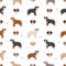 Olde English Bulldogge, Leavitt Bulldog  seamless pattern. Different poses, coat colors set