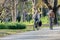 Older Caucasian couple riding bicycles through public park together