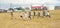 Older children racing at Nairn Show