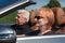 Older couple drives with a luxury convertible car