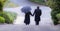 Older couple holding hands with woman carrying an umbrella