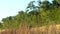 Older couple riding bikes in slow motion past tan grass and green trees.