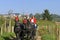 Older couple riding a horse and carriage