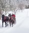 An older couple on a sleigh ride